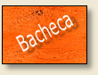 Bacheca
